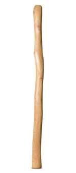 Medium Size Natural Finish Didgeridoo (TW1546)